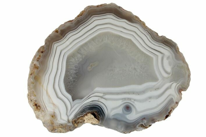 Polished Banded Agate Nodule Section - Morocco #187150